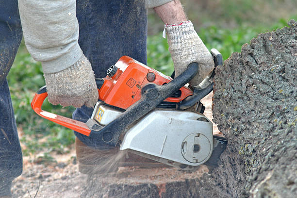 Leaf Removal in Brodhead, KY